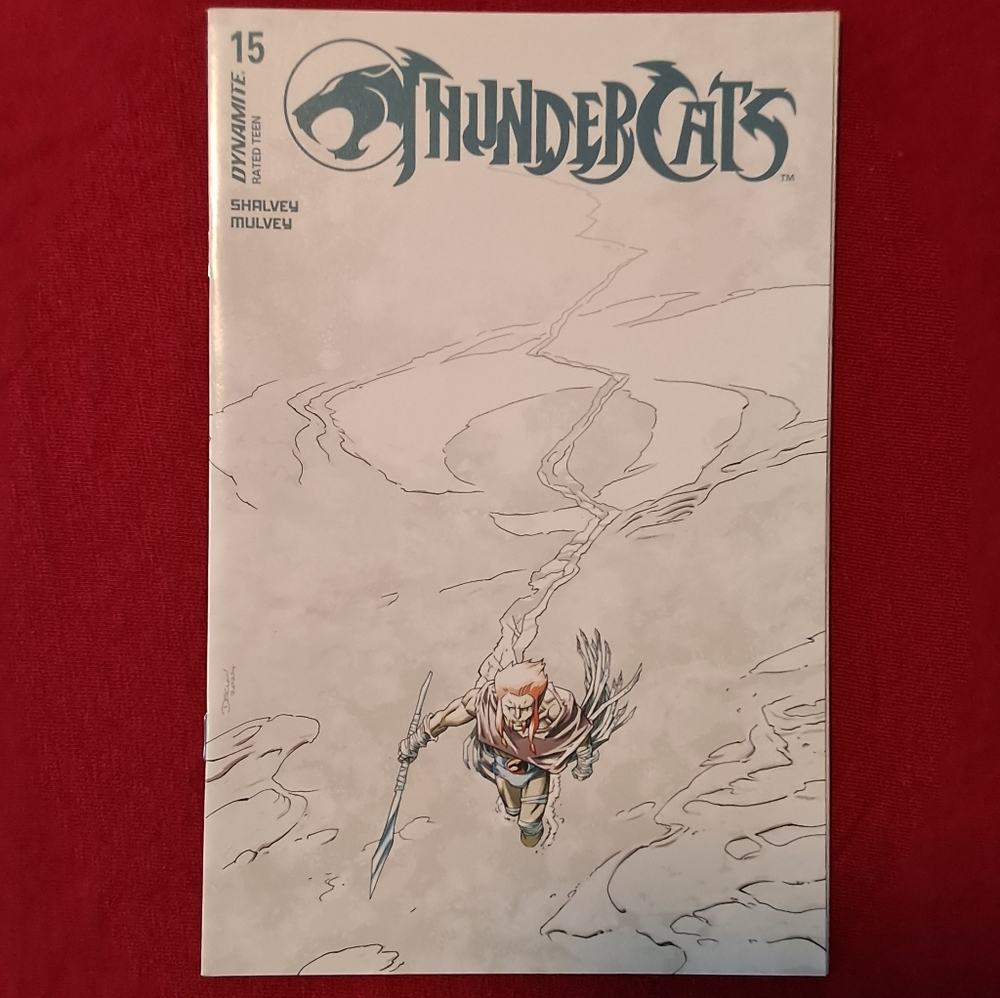 Thundercats 2024 Issue #15 Cover B Variant NM-MINT
